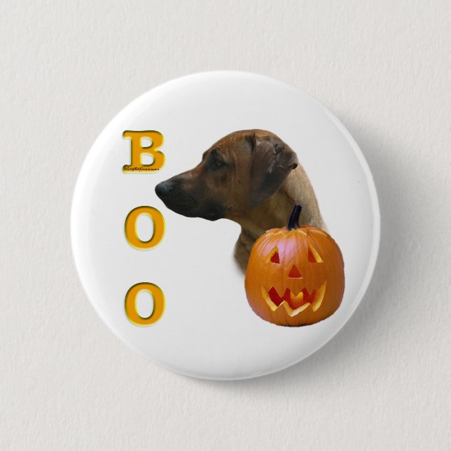 Rhodesian Ridgeback Boo Knapp (Framsida)