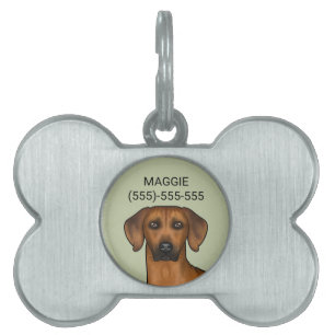 Rhodesian Ridgeback Brun Afrikansk Lejon Hund Huvu ID-bricka Husdjur