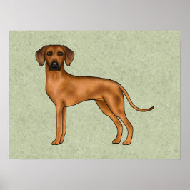 Rhodesian Ridgeback Brun Tecknad Lejon Hund Grön Poster