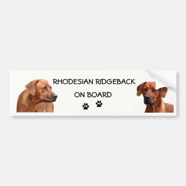 Rhodesian Ridgeback bumpersticker Bildekal (Framsidan)