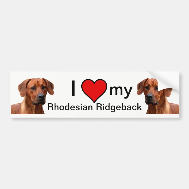 Rhodesian Ridgeback bumpersticker Bildekal (Framsidan)