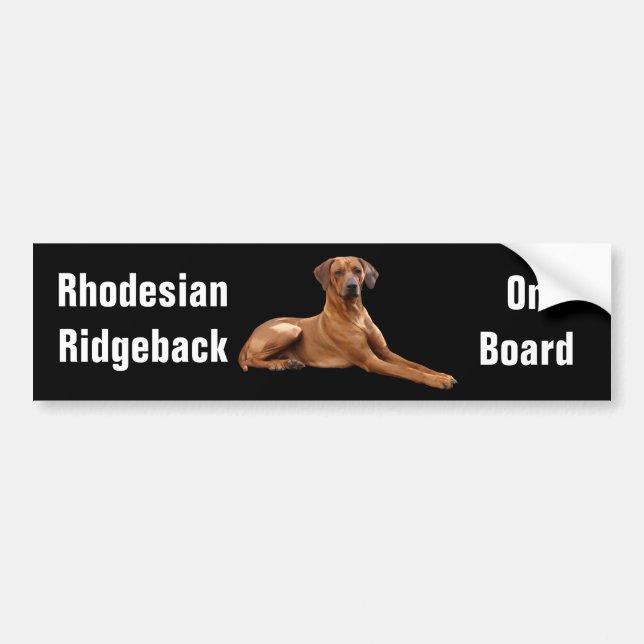 Rhodesian Ridgeback bumpersticker Bildekal (Framsidan)