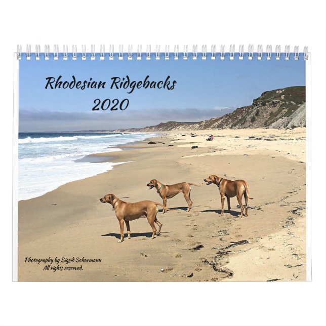 Rhodesian Ridgeback Calendar 2020 Kalender (Omslag)