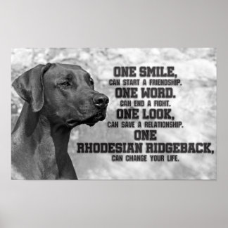 Rhodesian Ridgeback-citat Poster
