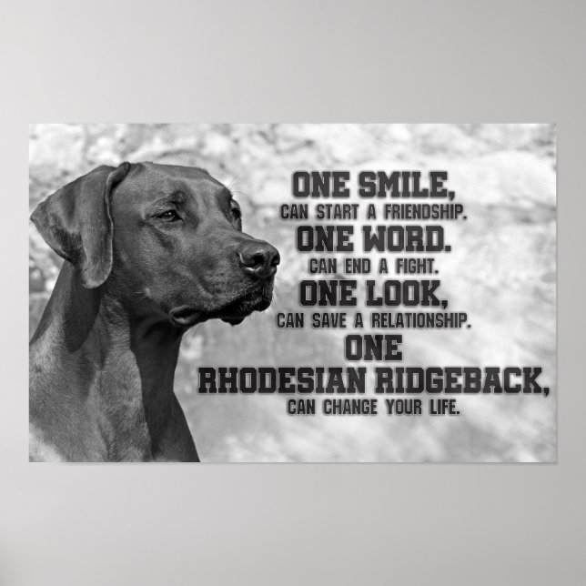 Rhodesian Ridgeback-citat Poster (Framsidan)