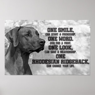 Rhodesian Ridgeback citationstecken Poster