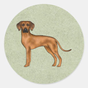 Rhodesian Ridgeback Cute African Lejon Hund Grönt Runt Klistermärke