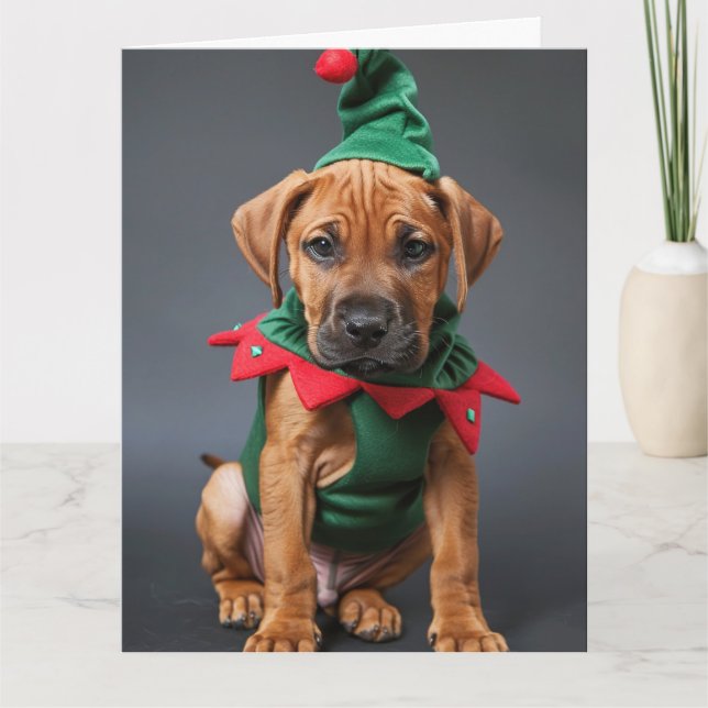 Rhodesian Ridgeback Elf Puppy-julkort Kort (Framsida)