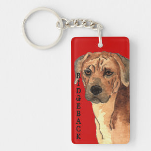 Rhodesian Ridgeback Färg Block