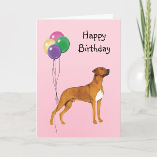 Rhodesian Ridgeback, födelsedagballonger Kort
