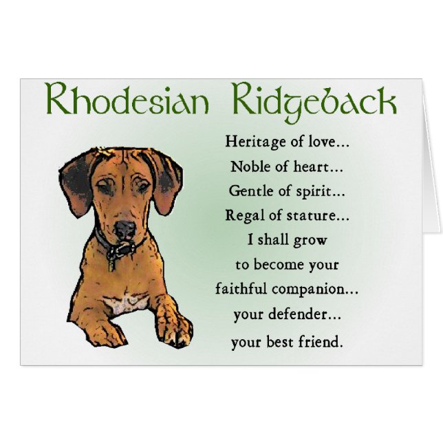 Rhodesian Ridgeback-gåvor Hälsningskort (Framsidan Horizontal)
