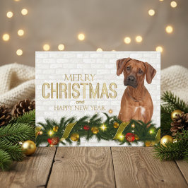 Rhodesian Ridgeback God jul Gott nytt år Helg Vykort