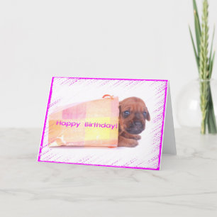 Rhodesian Ridgeback GRATTIS PÅ FÖDELSEDAGEN-hälsni Kort