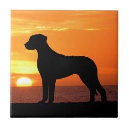 Rhodesian Ridgeback guld- solnedgångSilhouette Kakelplatta