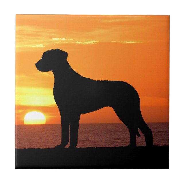 Rhodesian Ridgeback guld- solnedgångSilhouette Kakelplatta (Framsidan)