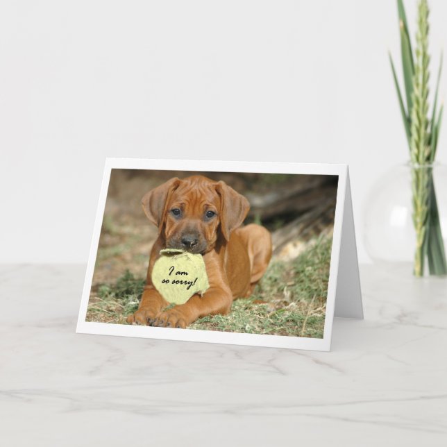 Rhodesian Ridgeback hälsningkort - ledsen Kort (Framsida)