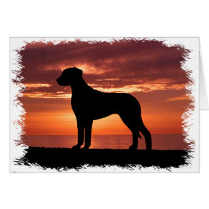 Rhodesian Ridgeback Hälsningskort