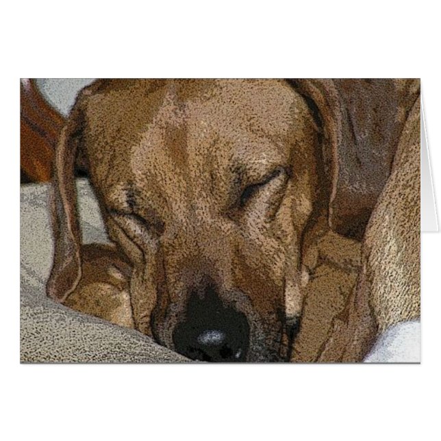Rhodesian Ridgeback Hälsningskort (Framsidan Horizontal)