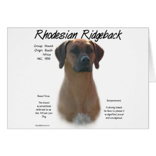 Rhodesian Ridgeback-historikdesign Hälsningskort