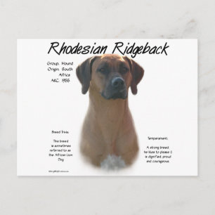Rhodesian Ridgeback-historikdesign Vykort