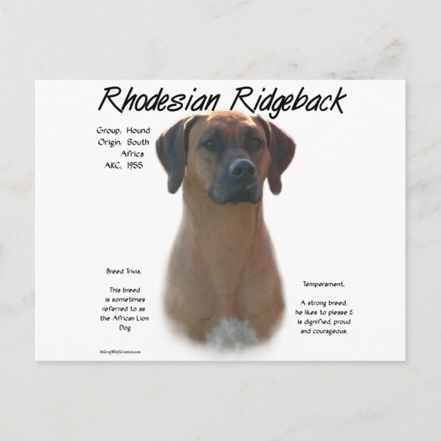 Rhodesian Ridgeback-historikdesign Vykort (Framsida)