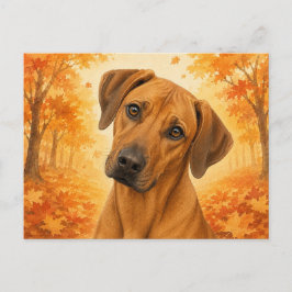 Rhodesian Ridgeback Höst Hund Vykort