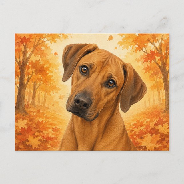Rhodesian Ridgeback Höst Hund Vykort (Framsida)