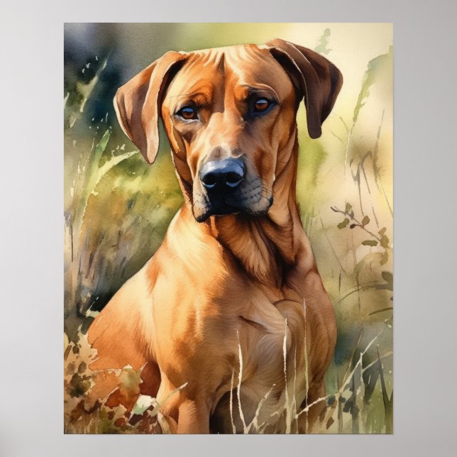 Rhodesian Ridgeback Hund Art Print Poster (Framsidan)