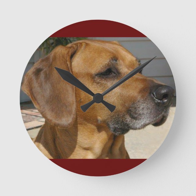 RHODESIAN RIDGEBACK Hund aveln Pet Rund Klocka (Framsida)