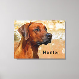 Rhodesian Ridgeback Hund Canvastryck
