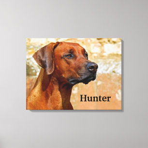 Rhodesian Ridgeback Hund Canvastryck
