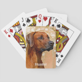 Rhodesian Ridgeback Hund Casinokort