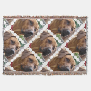 Rhodesian Ridgeback hund Filt