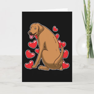 Rhodesian Ridgeback Hund Gift Ida Kort