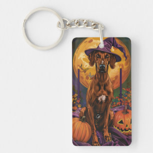 Rhodesian Ridgeback Hund Halloween Häxa Pumpa