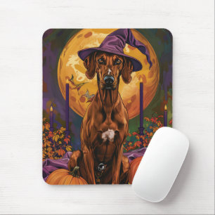 Rhodesian Ridgeback Hund Halloween Häxa Pumpa Musmatta
