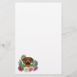 Rhodesian Ridgeback Hund Huvud Färgglomma Vildblom Brevpapper