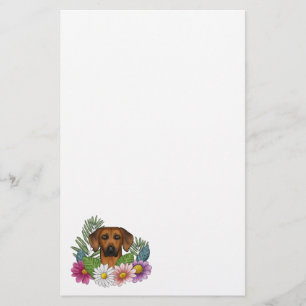 Rhodesian Ridgeback Hund Huvud Färgglomma Vildblom Brevpapper