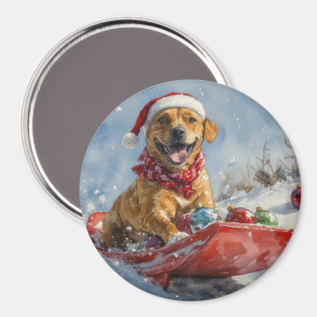 Rhodesian Ridgeback Hund i Sledge-julen Magnet (Front/Back)
