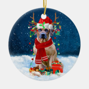 Rhodesian Ridgeback Hund i Snö julgåva Julgransprydnad Keramik