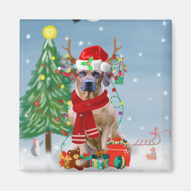 Rhodesian Ridgeback Hund i Snö Julpresent   Magnet (Framsidan)