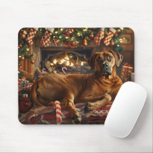 Rhodesian Ridgeback-Hund Jul Festive Musmatta