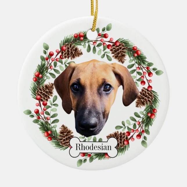 Rhodesian Ridgeback hund Julgransprydnad Keramik (Framsidan)