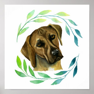 Rhodesian Ridgeback-Hund med Watercolor för andedr Poster