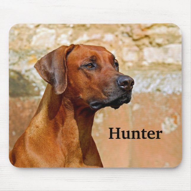 Rhodesian Ridgeback Hund Musmatta (Framsidan)