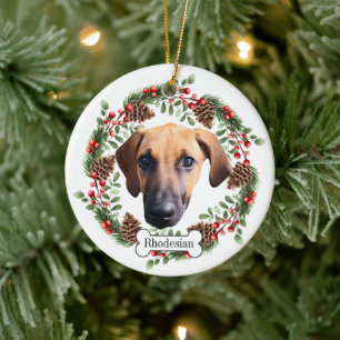 Rhodesian Ridgeback hund Personlig Pet Ornament