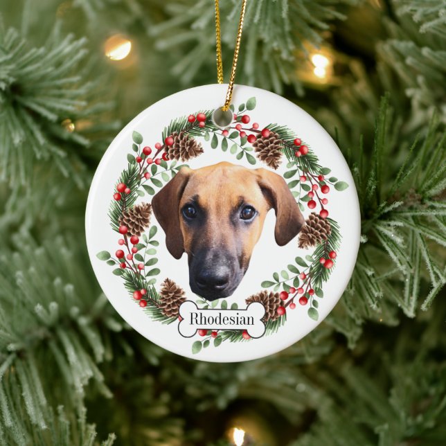Rhodesian Ridgeback hund Personlig Pet Ornament (Träd)