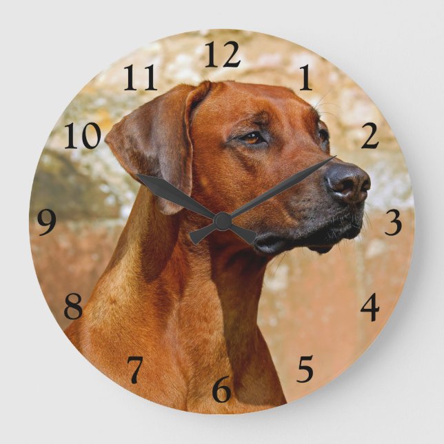 Rhodesian Ridgeback Hund Stor Klocka (Framsida)