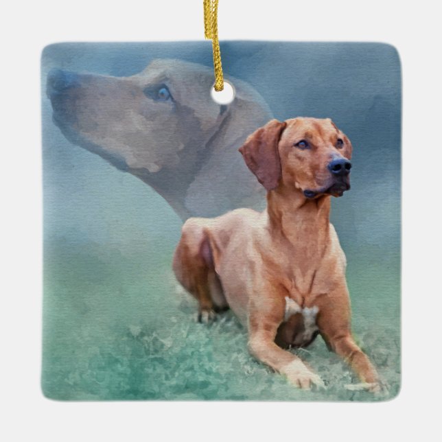 Rhodesian Ridgeback hundCollage Julgransprydnad Keramik (Framsida)