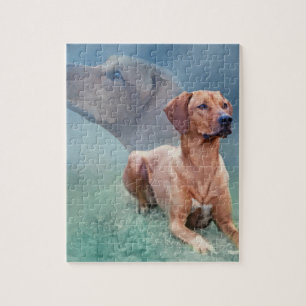 Rhodesian Ridgeback hundCollage Pussel